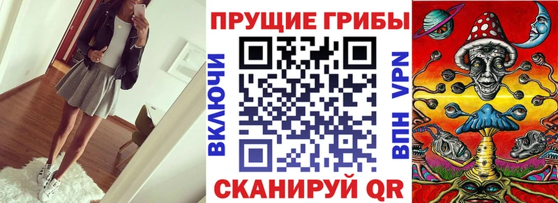mega   Ивантеевка  Галлюциногенные грибы MAGIC MUSHROOMS 